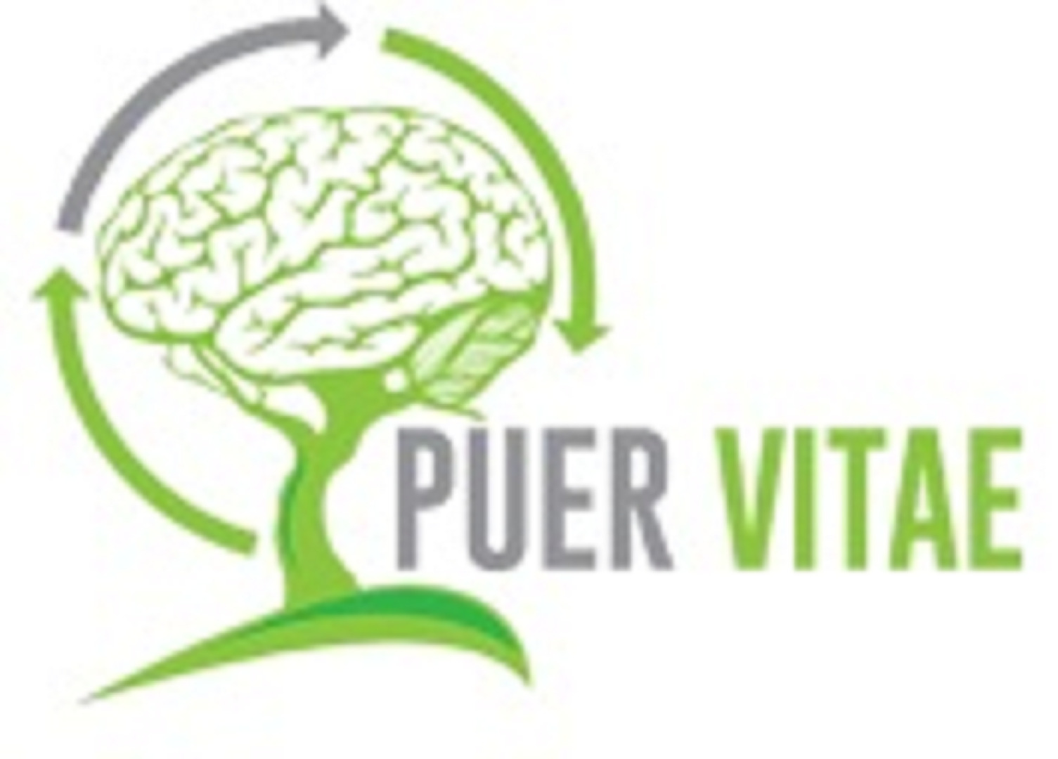 LOGO Puer Vitae