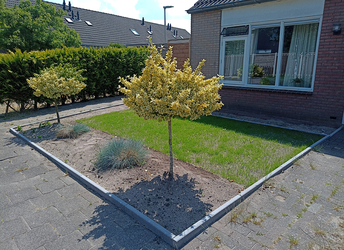 Tuin na vergroening