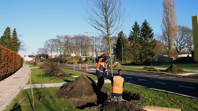 Buitendienst plant bomen