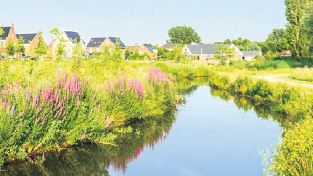 Een sloot dat langs een woonwijk loopt