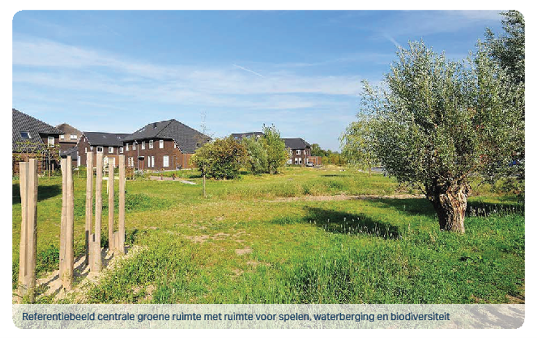 Referentiebeeld centrale groene ruimte met ruimte voor spelen, waterberging en biodiversiteit