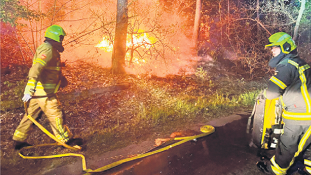 De brandweer bestrijdt een natuurbrand