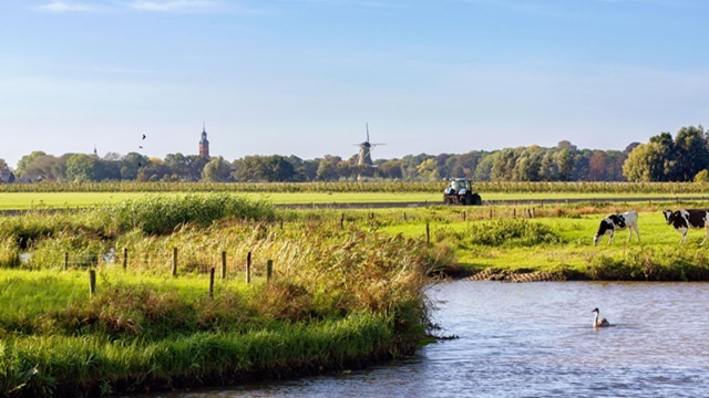 Stikstof strokenbeleid; natuurgebied