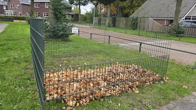 Bladkorf binnen de bebouwde kom in de gemeente Elburg