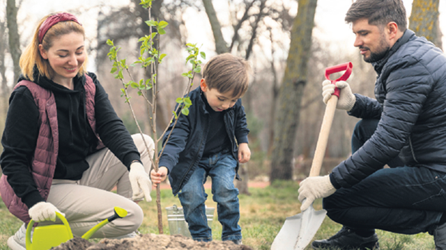 Een gezin plant een jonge boom in de tuin