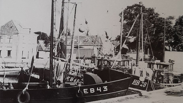 Kotter Coby EB43