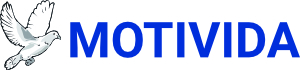 logo motivida