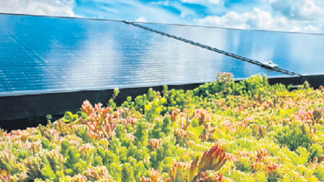 Dak duurzaam maken met vergroening en zonnepanelen